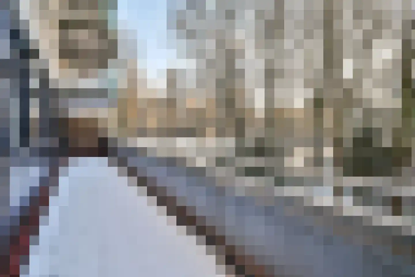 Wittgensteinlaan 291 Amsterdam thumbnail 10