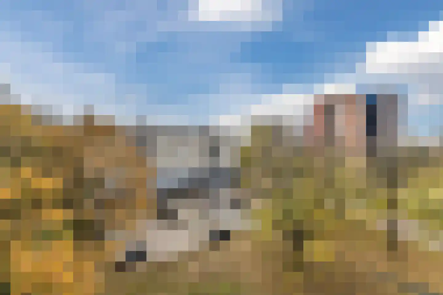 Wittgensteinlaan 307 Amsterdam thumbnail 32