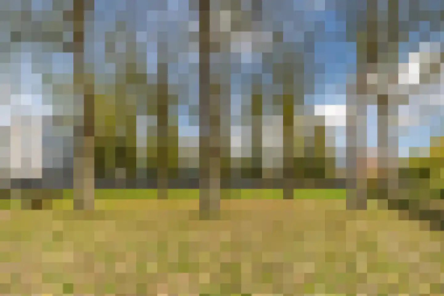 Wittgensteinlaan 307 Amsterdam thumbnail 37