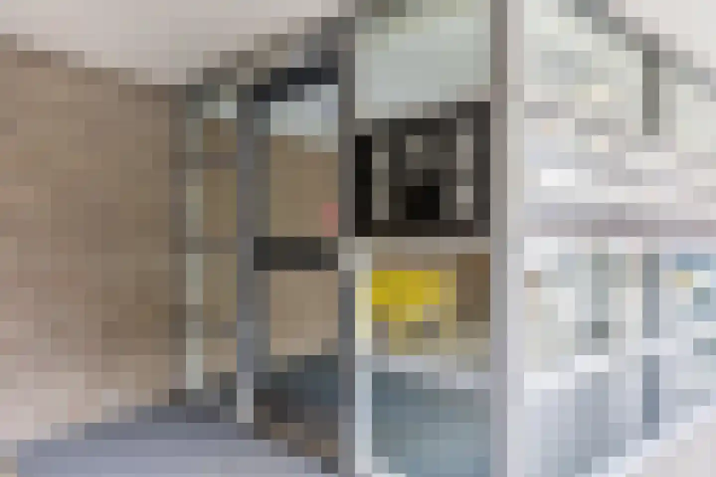 Wittgensteinlaan 307 Amsterdam thumbnail 5