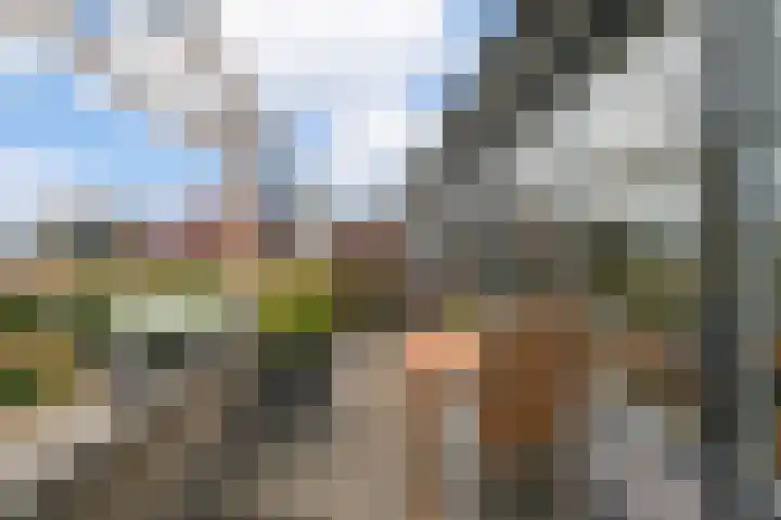 Wittgensteinlaan 320 Amsterdam thumbnail 24