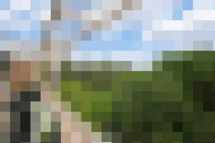 Wittgensteinlaan 320 Amsterdam thumbnail 25