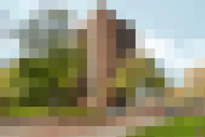 Wittgensteinlaan 44 Amsterdam thumbnail 5