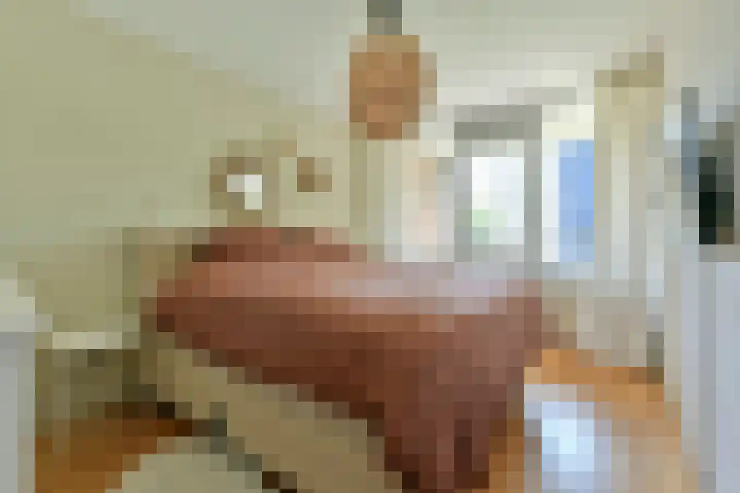 Wittgensteinlaan 6 Amsterdam thumbnail 15