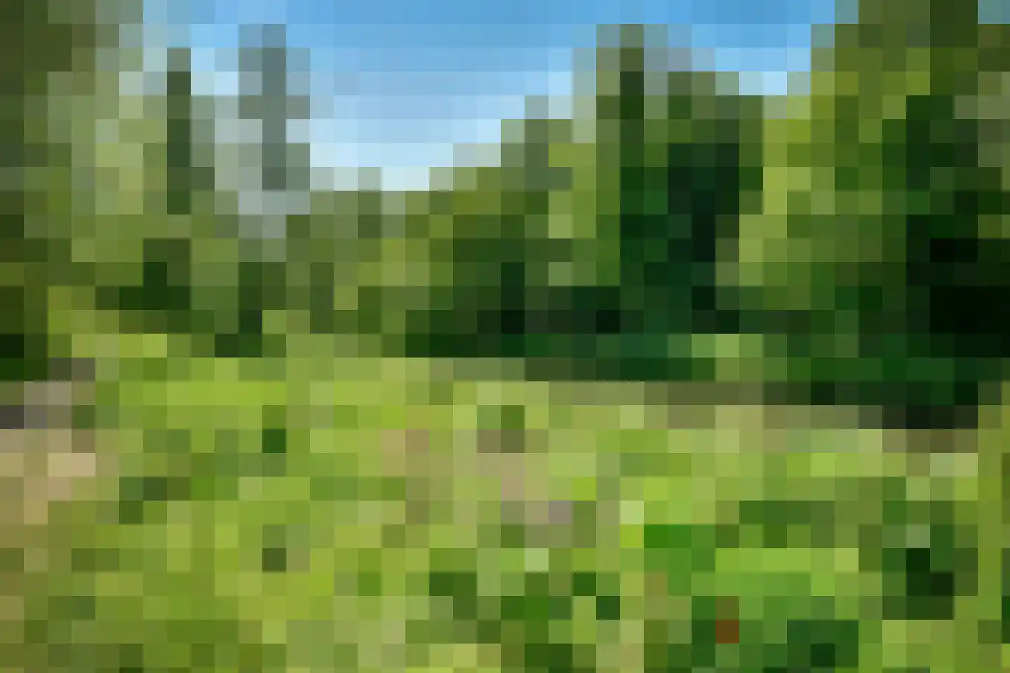 Wittgensteinlaan 6 Amsterdam thumbnail 21