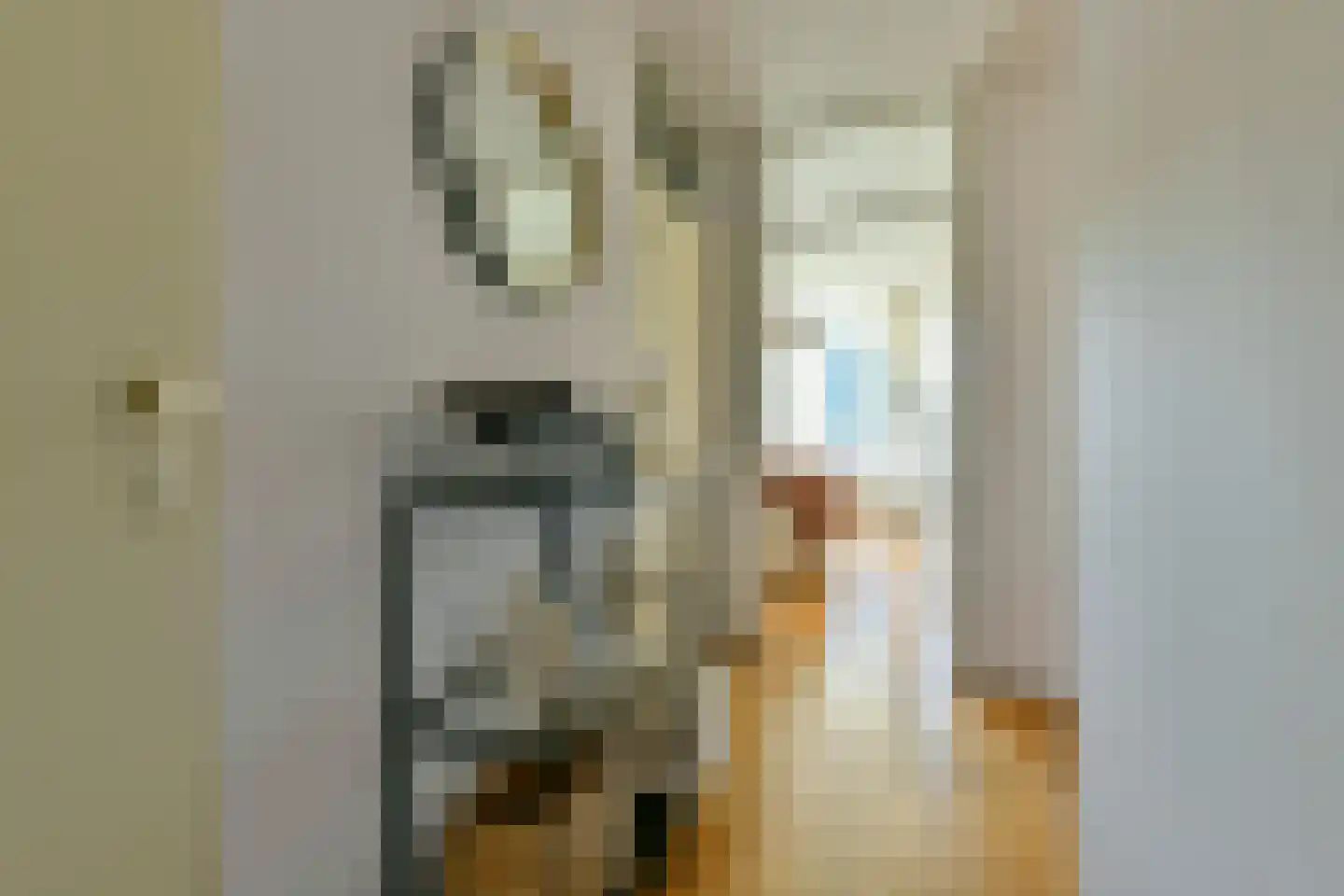 Wittgensteinlaan 6 Amsterdam thumbnail 5