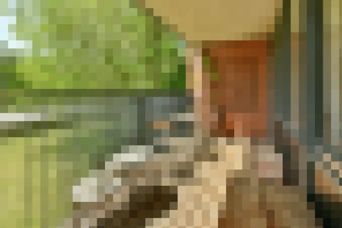 Wittgensteinlaan 6 Amsterdam thumbnail 8