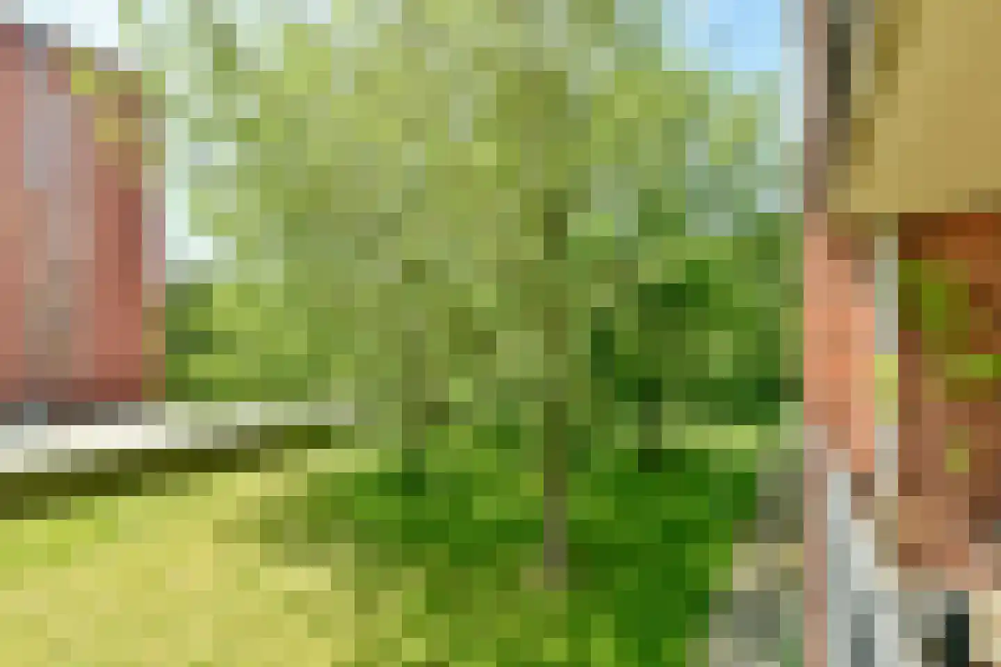 Wittgensteinlaan 6 Amsterdam thumbnail 9