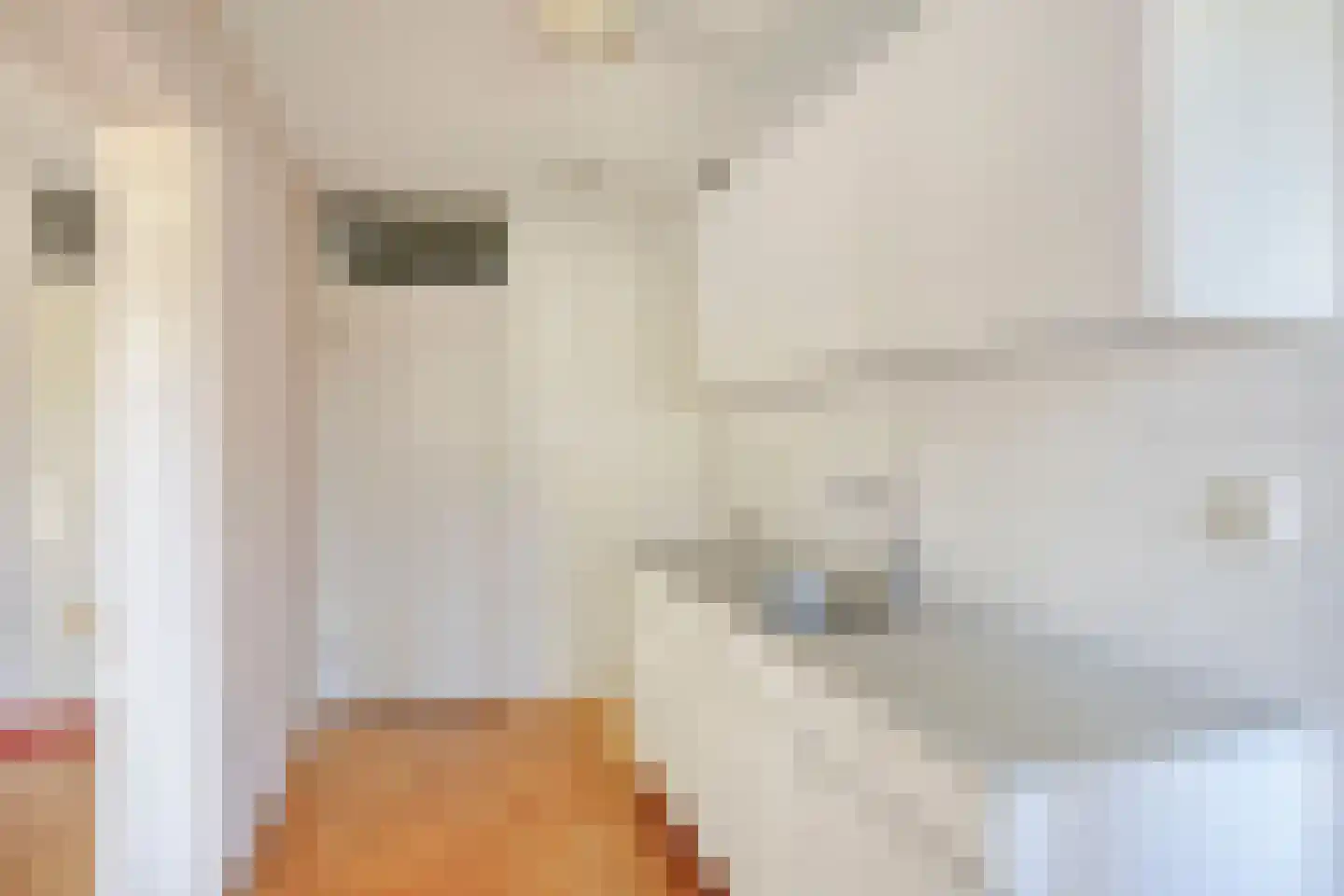 Wittgensteinlaan 98 Amsterdam thumbnail 11