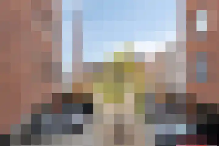 Wittoucksingel 12 Bergen op Zoom thumbnail 31
