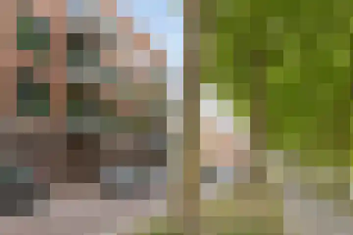 Wittoucksingel 12 Bergen op Zoom thumbnail 32