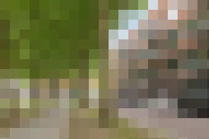 Wittoucksingel 12 Bergen op Zoom thumbnail 33