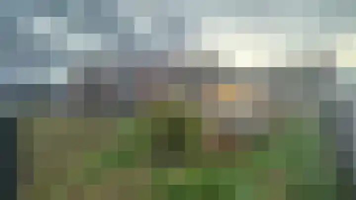 Wittoucksingel 35 Bergen op Zoom thumbnail 10