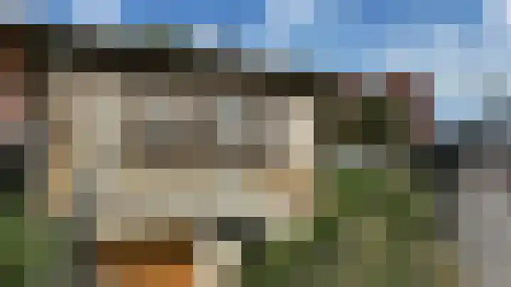 Wittoucksingel 35 Bergen op Zoom thumbnail 5