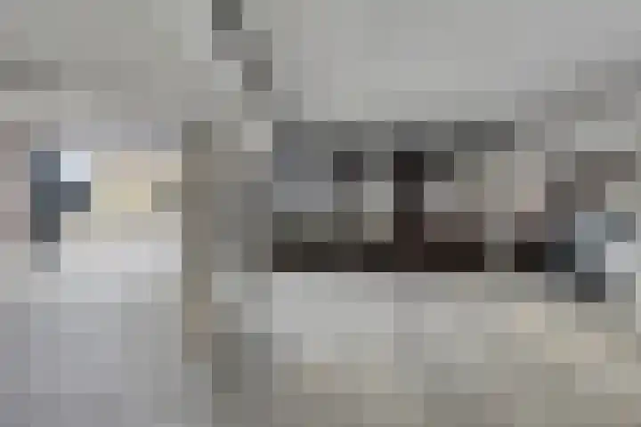 Wittoucksingel 38 Bergen op Zoom thumbnail 12