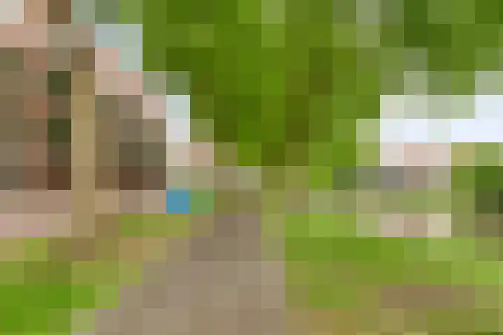 Wittoucksingel 38 Bergen op Zoom thumbnail 32