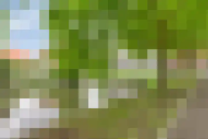 Wittoucksingel 38 Bergen op Zoom thumbnail 33