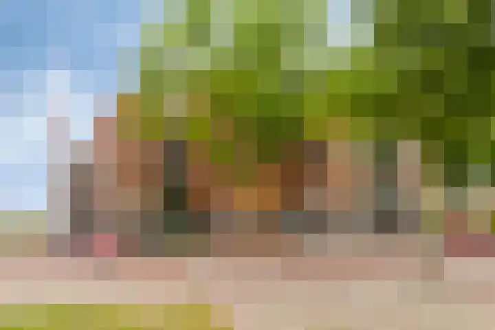 Wittoucksingel 38 Bergen op Zoom thumbnail 34