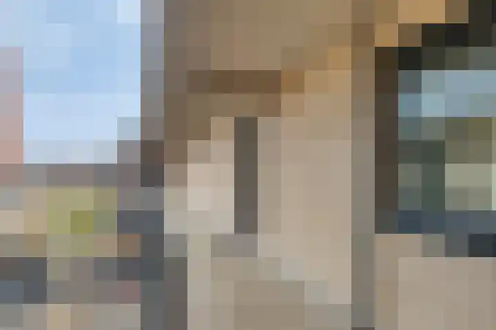 Wittoucksingel 38 Bergen op Zoom thumbnail 7