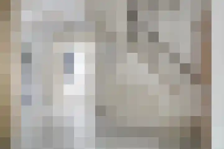 Witveen 38 Haren Gn thumbnail 21