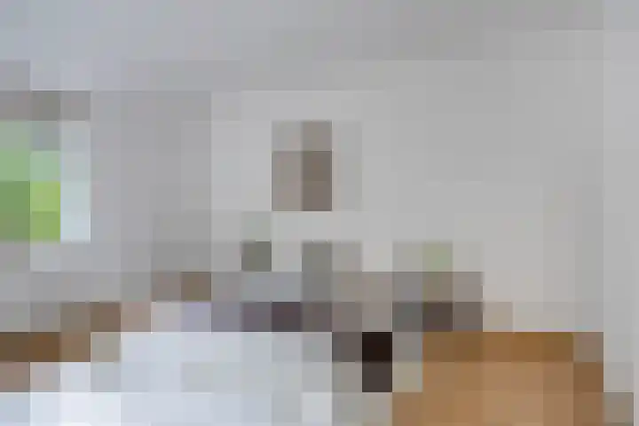 Witveen 38 Haren Gn thumbnail 40