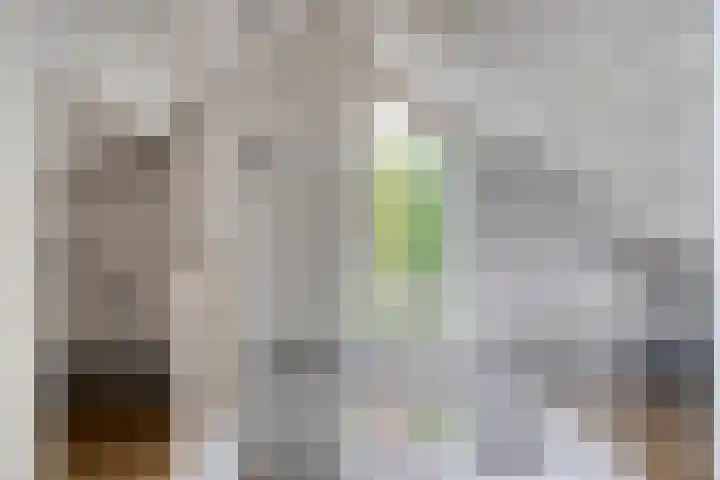 Witveen 38 Haren Gn thumbnail 43