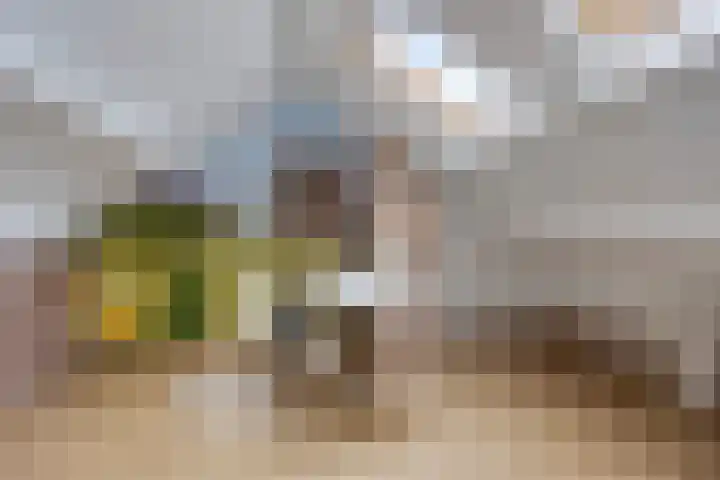 Witveen 38 Haren Gn thumbnail 45