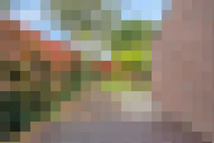 Witveen 38 Haren Gn thumbnail 49