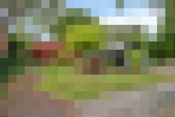 Witveen 38 Haren Gn thumbnail 50