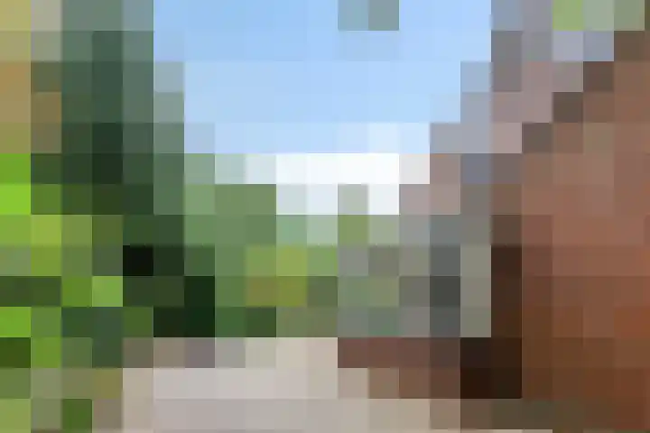 Witveen 38 Haren Gn thumbnail 56