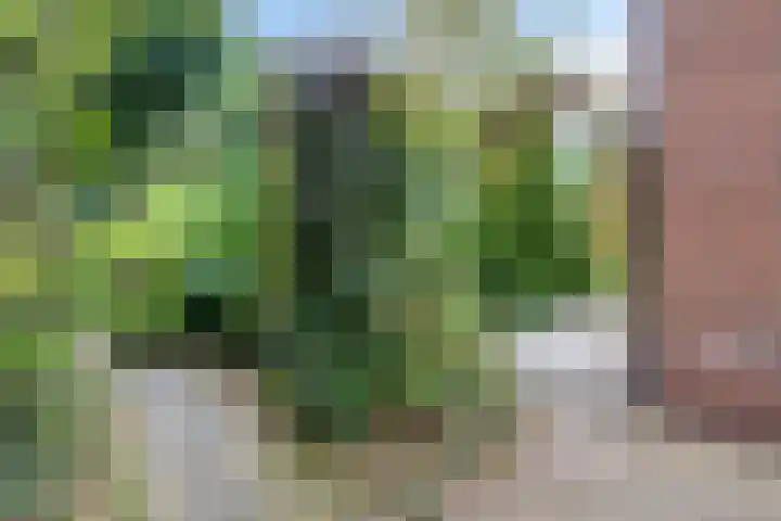Witveen 38 Haren Gn thumbnail 59