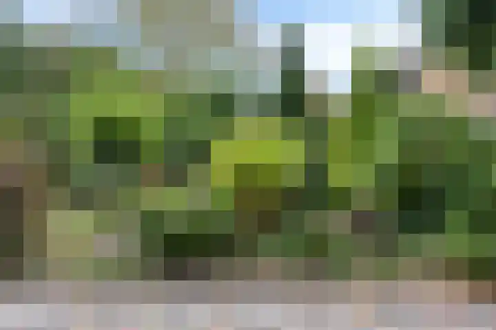 Witveen 38 Haren Gn thumbnail 60