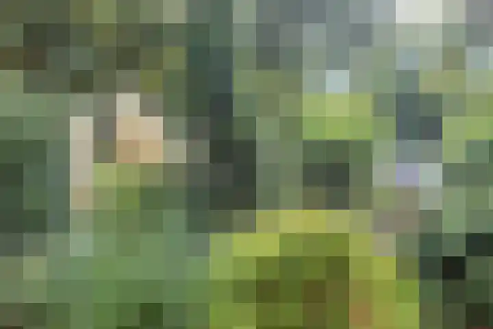 Witveen 38 Haren Gn thumbnail 61