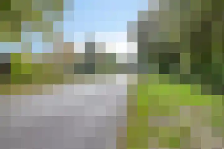 Witveen 38 Haren Gn thumbnail 64