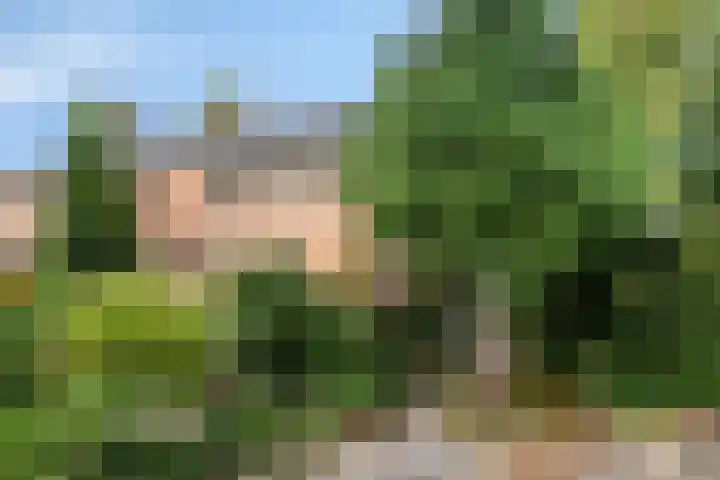 Witveen 38 Haren Gn thumbnail 8