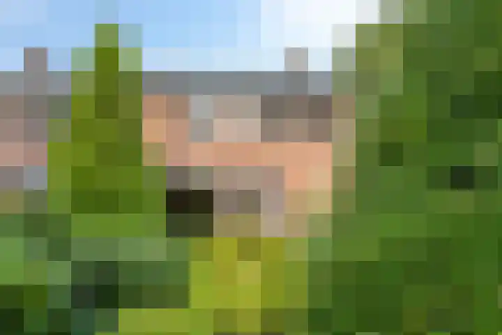 Witveen 38 Haren Gn thumbnail 9