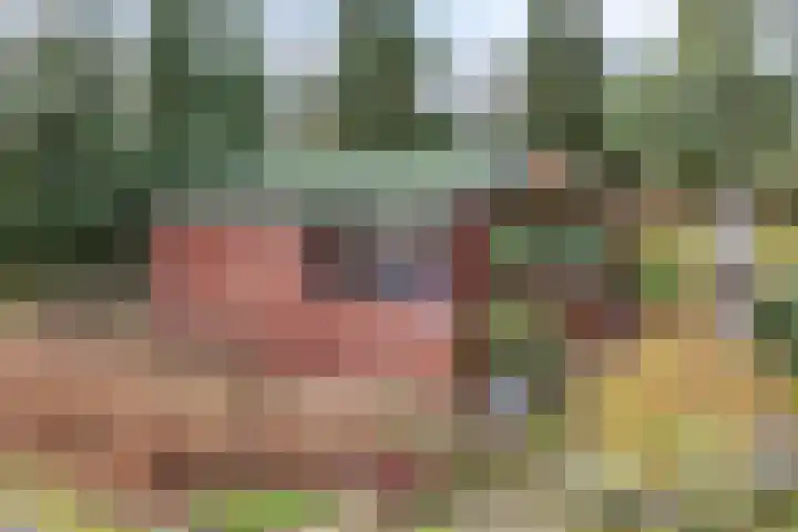 Witveldweg 61 Horst thumbnail 44