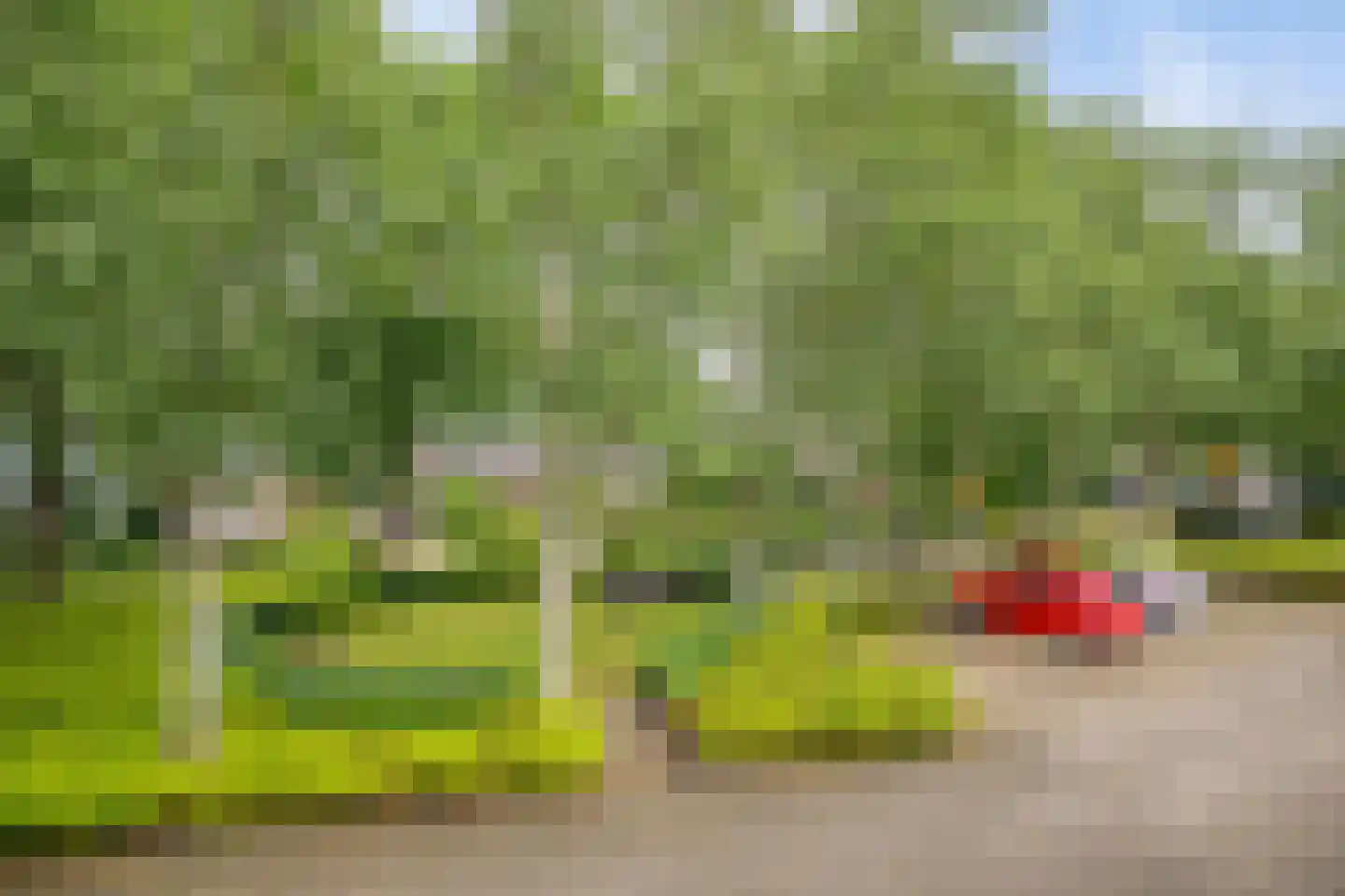 Witvenstraat 17 Haghorst thumbnail 22