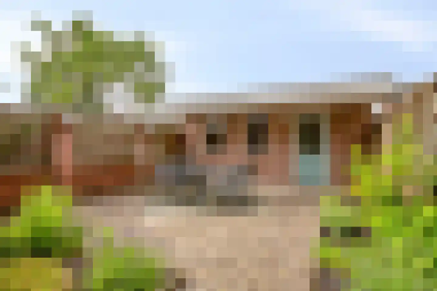 Witvenstraat 17 Haghorst thumbnail 31