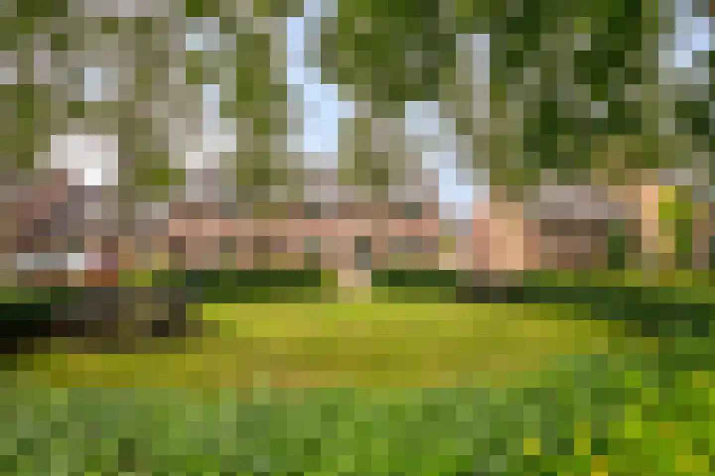 Witvenstraat 17 Haghorst thumbnail 40