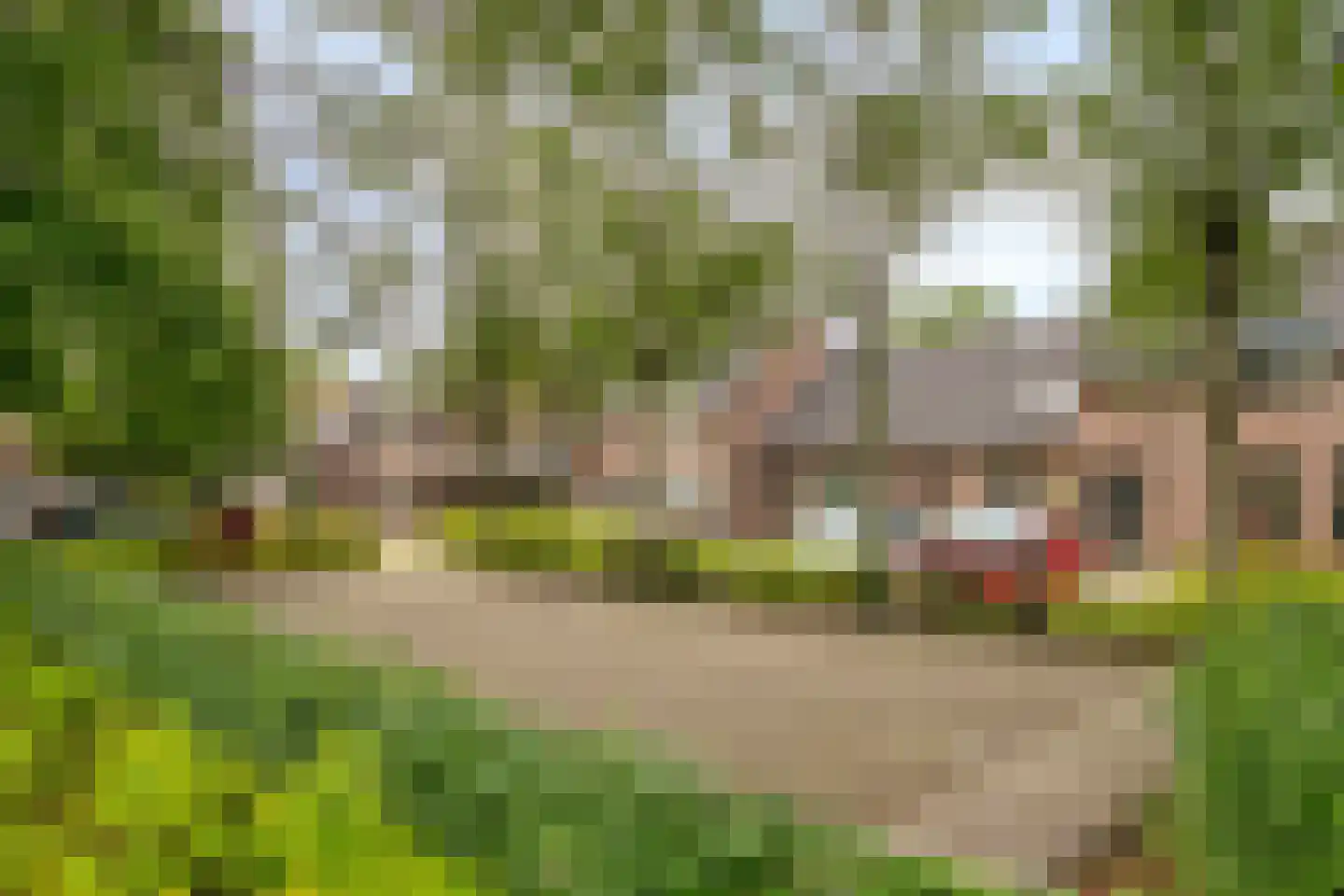 Witvenstraat 17 Haghorst thumbnail 41