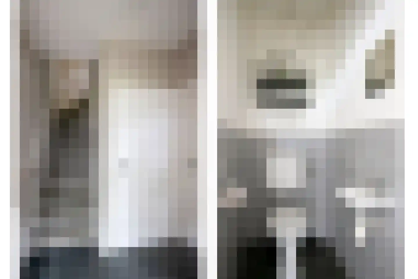 Witvenstraat 17 Haghorst thumbnail 6