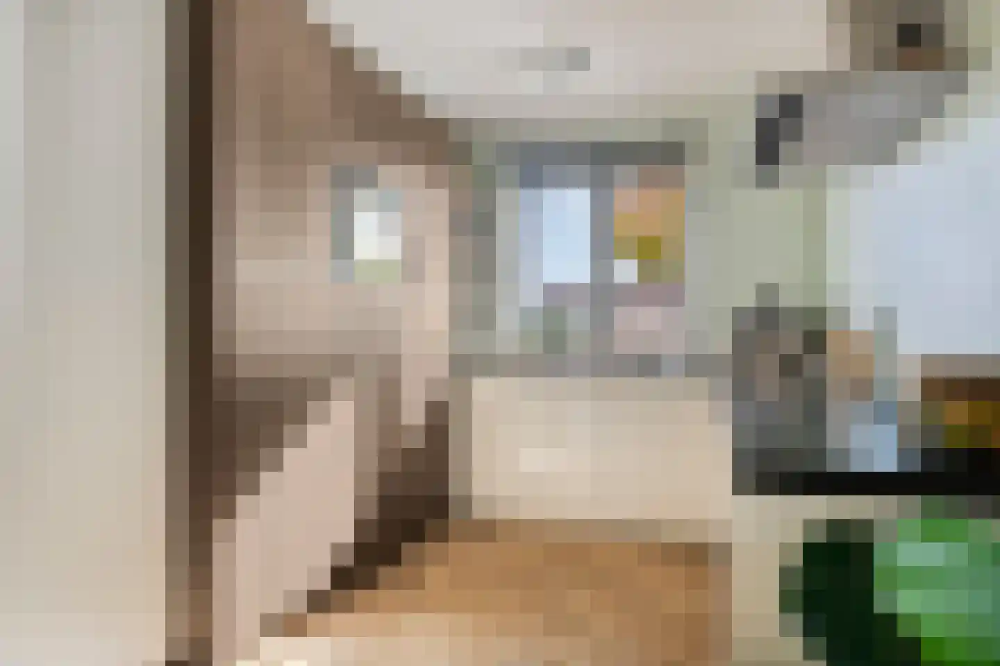 Witvlas 5 Lage Zwaluwe thumbnail 15