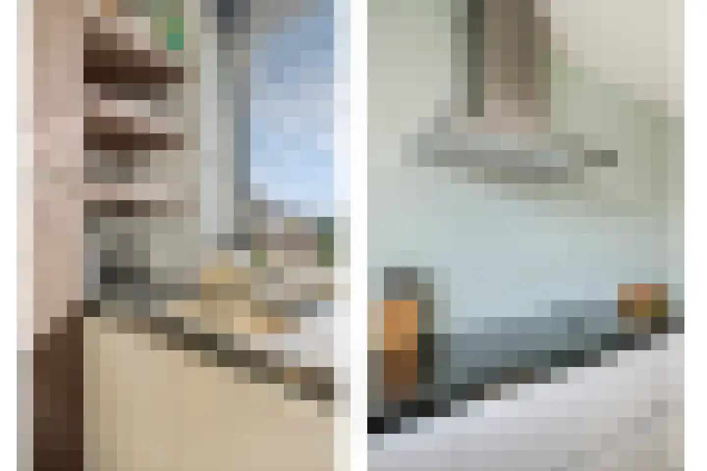 Witvlas 5 Lage Zwaluwe thumbnail 16