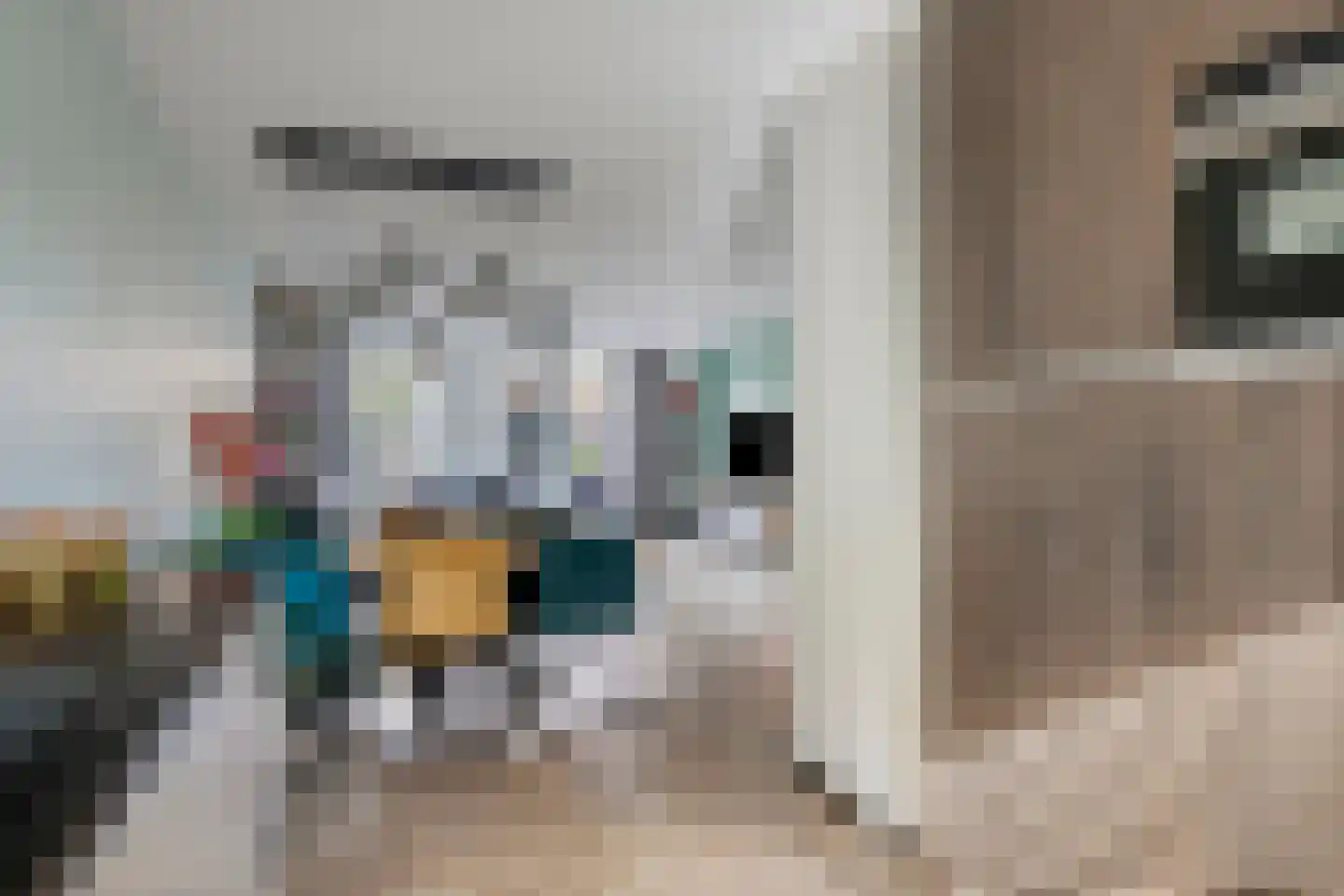 Witvlas 5 Lage Zwaluwe thumbnail 17