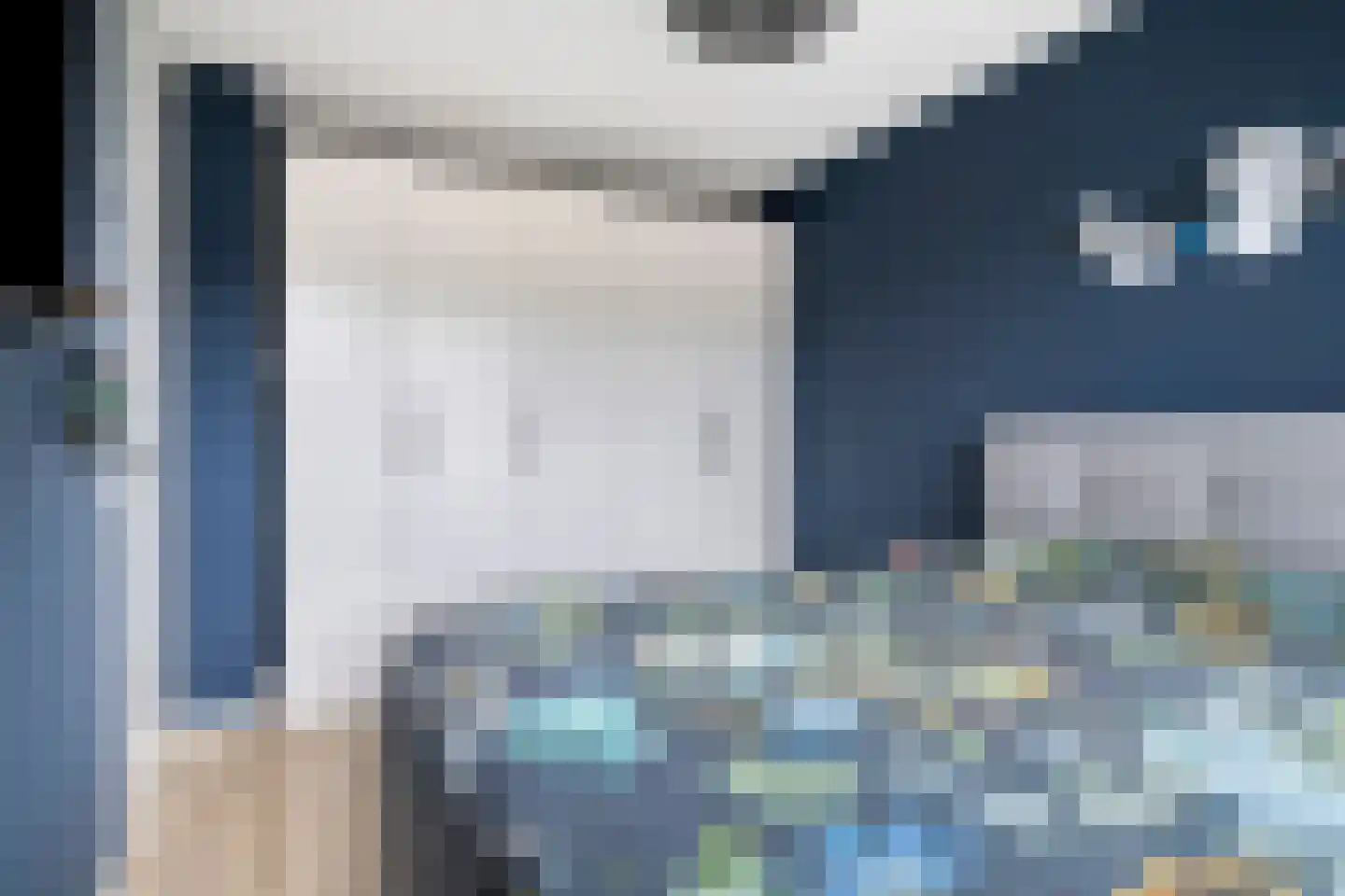 Witvlas 5 Lage Zwaluwe thumbnail 22