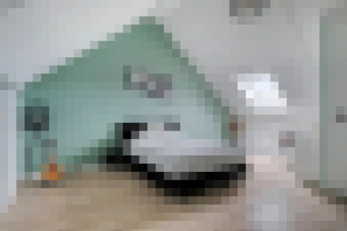 Witvlas 5 Lage Zwaluwe thumbnail 30