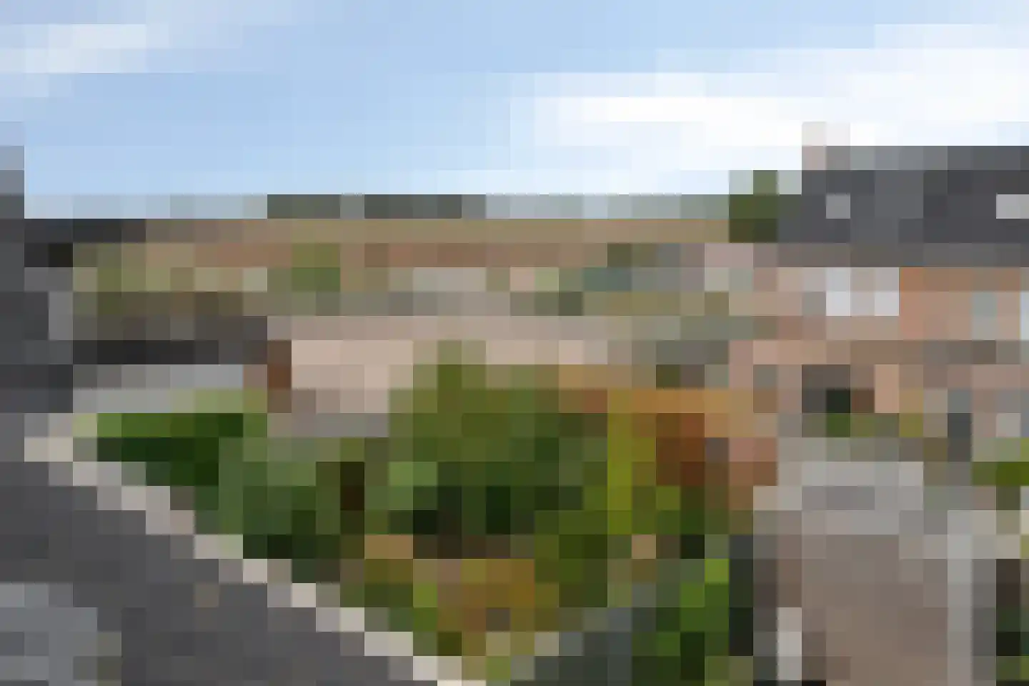 Witvlas 5 Lage Zwaluwe thumbnail 34