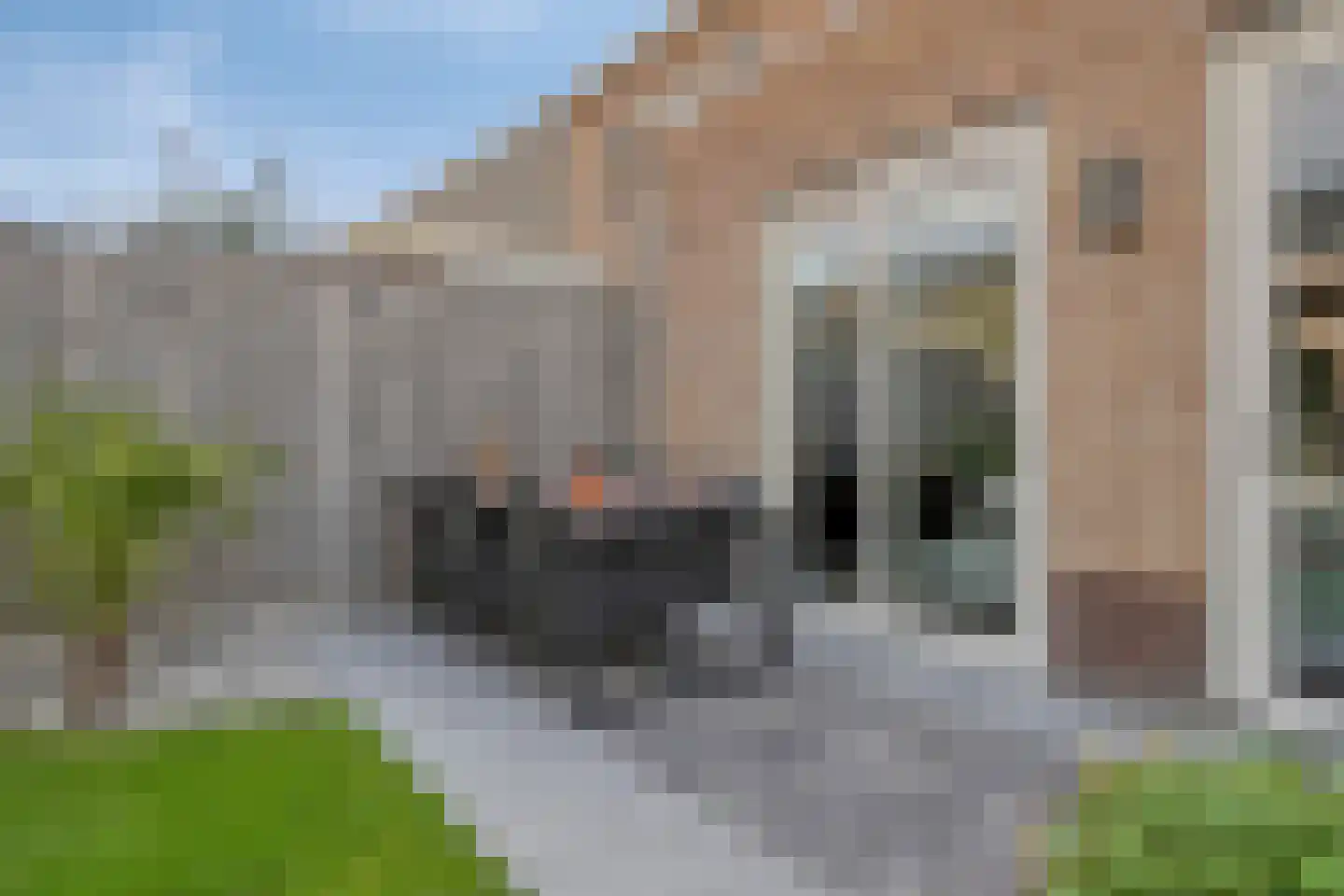 Witvlas 5 Lage Zwaluwe thumbnail 37