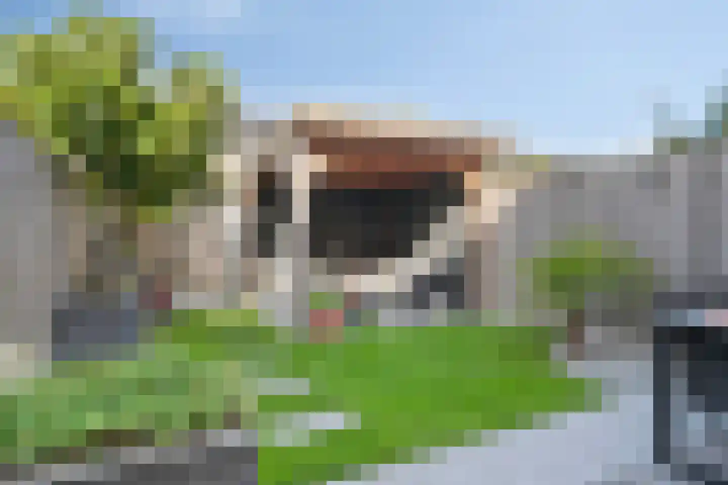 Witvlas 5 Lage Zwaluwe thumbnail 38